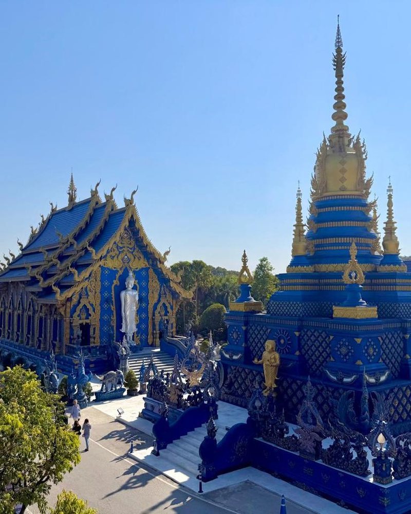 Viajera Travel Fare