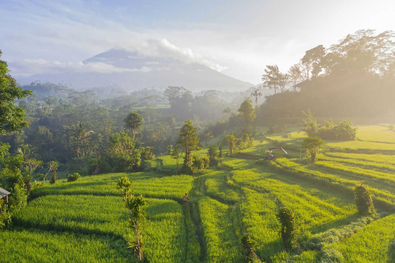 Japón, Tailandia, Bali